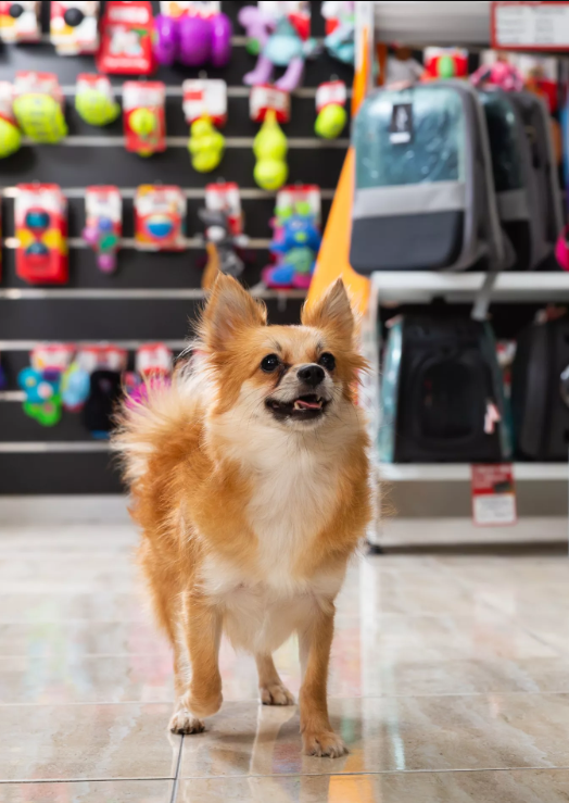  ИП Дегалова А. Е.